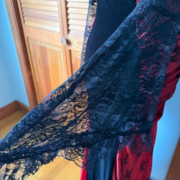 Gothic Victorian Vampire Bloody Garden of Delight Black & Red Lace Velvet Gown - Picture 15 of 15